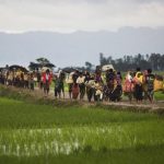 Etnis Rohingya mengungsi ke Bangladesh (Foto: AP Photo/Bernat Armangue, File)