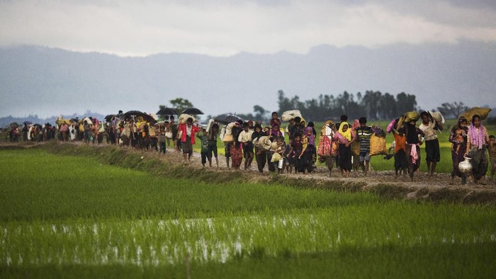 Etnis Rohingya mengungsi ke Bangladesh (Foto: AP Photo/Bernat Armangue, File)